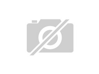 Knuffige Meerschweinchen aus Salzgitter verschiedene Rassen